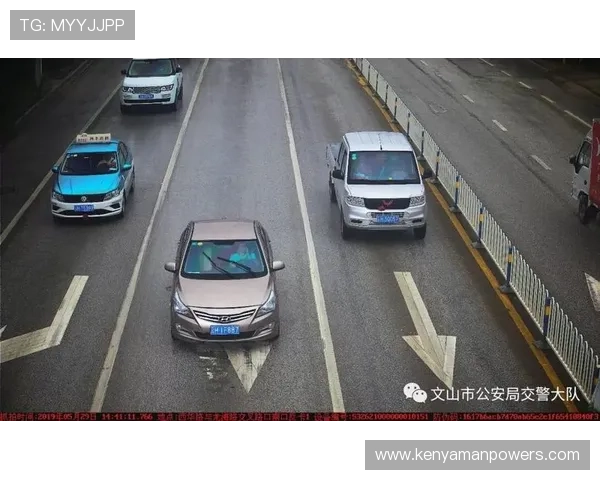 开云在线登录路口安全验证措施全面解析提升账号安全保障